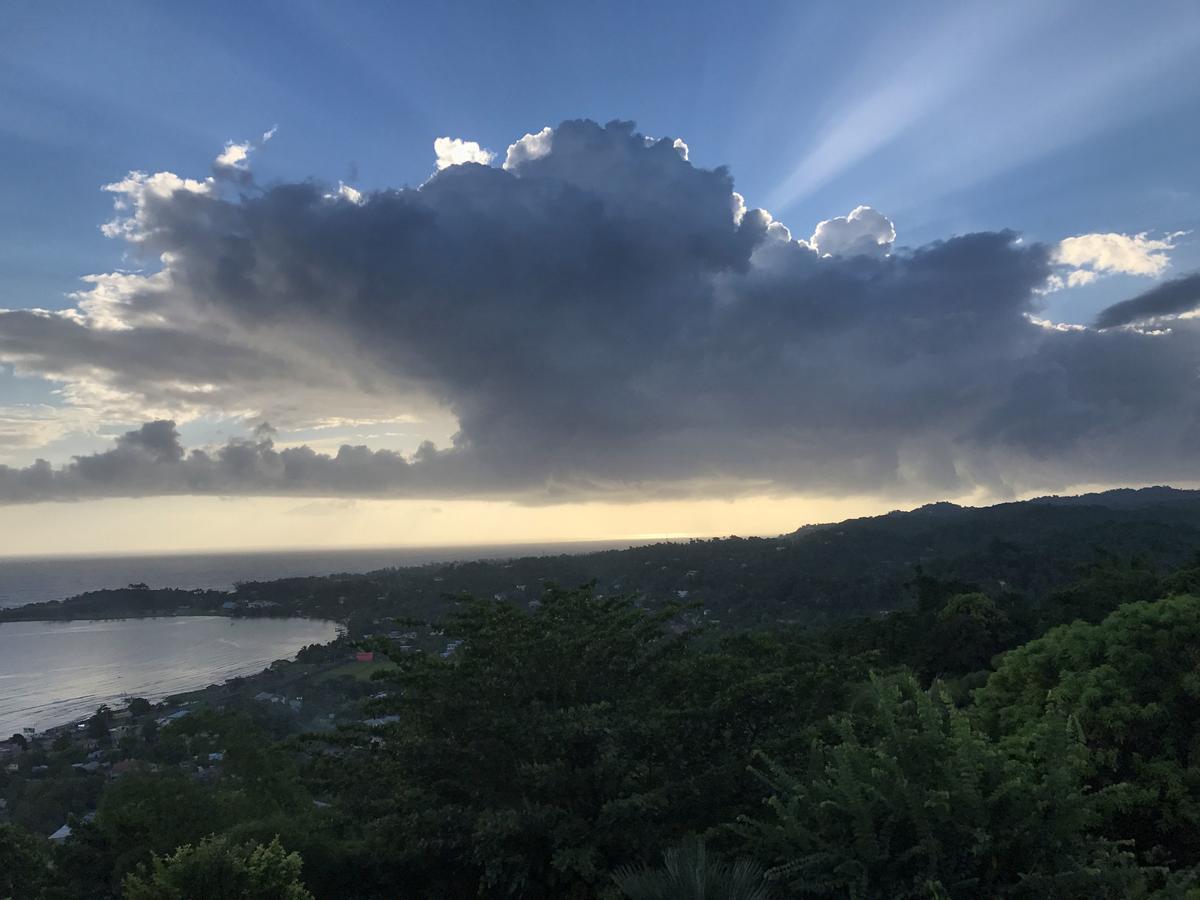 Treetops Villa Port Antonio Exteriér fotografie