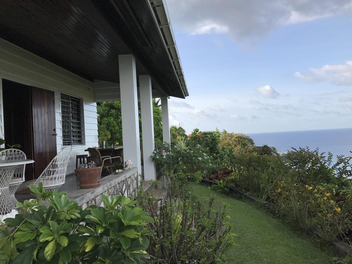 Treetops Villa Port Antonio Exteriér fotografie
