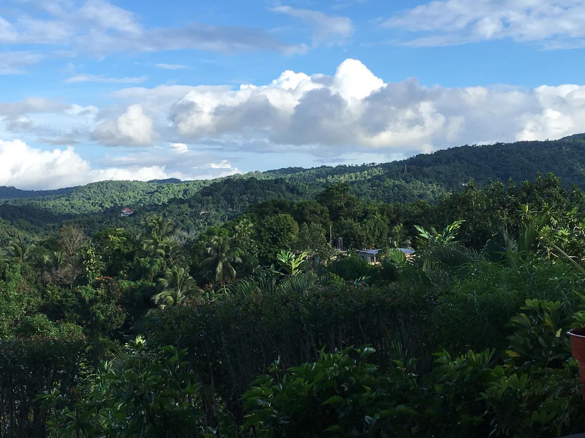 Treetops Villa Port Antonio Exteriér fotografie